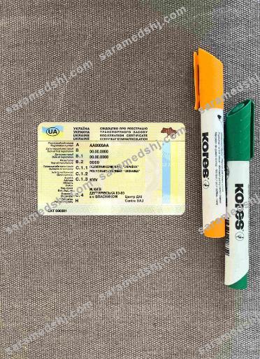 Ukraine driving license photolook BACK